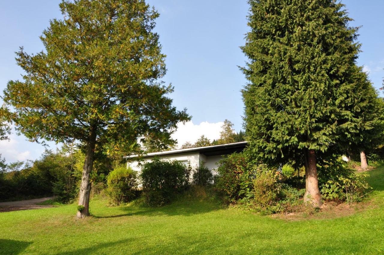 Feriendorf Am Hundsrueck Floh Dış mekan fotoğraf